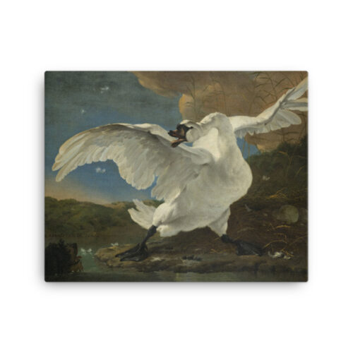 De Bedreigde Zwaan canvas