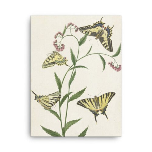 Vier Vlinders op Bloemen canvas